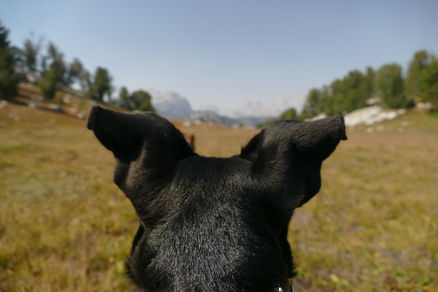 Golden Ears Provincial Park