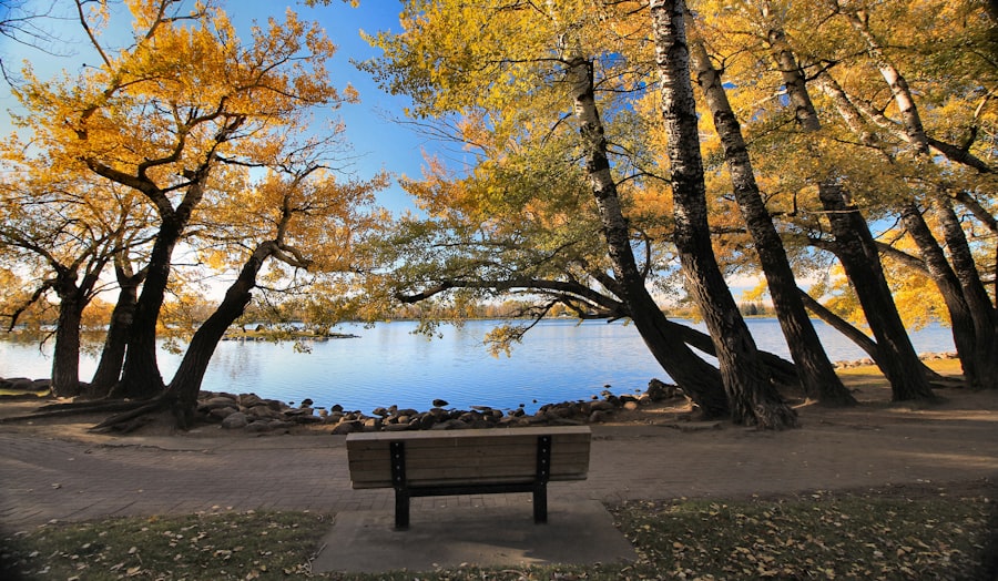 Photo Broadmoor Lake Park