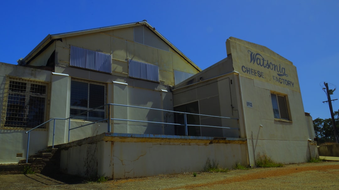 image-12 Photo Cheese factory