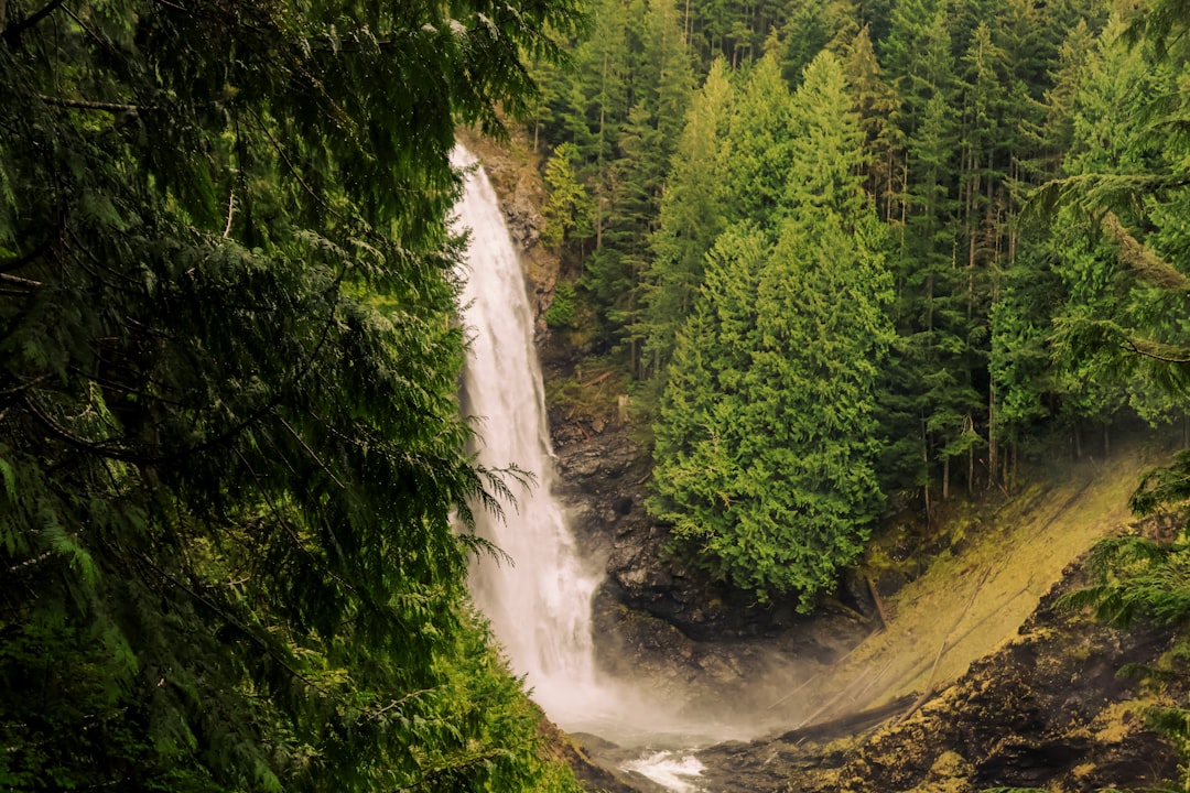 Photo Waterfall hike