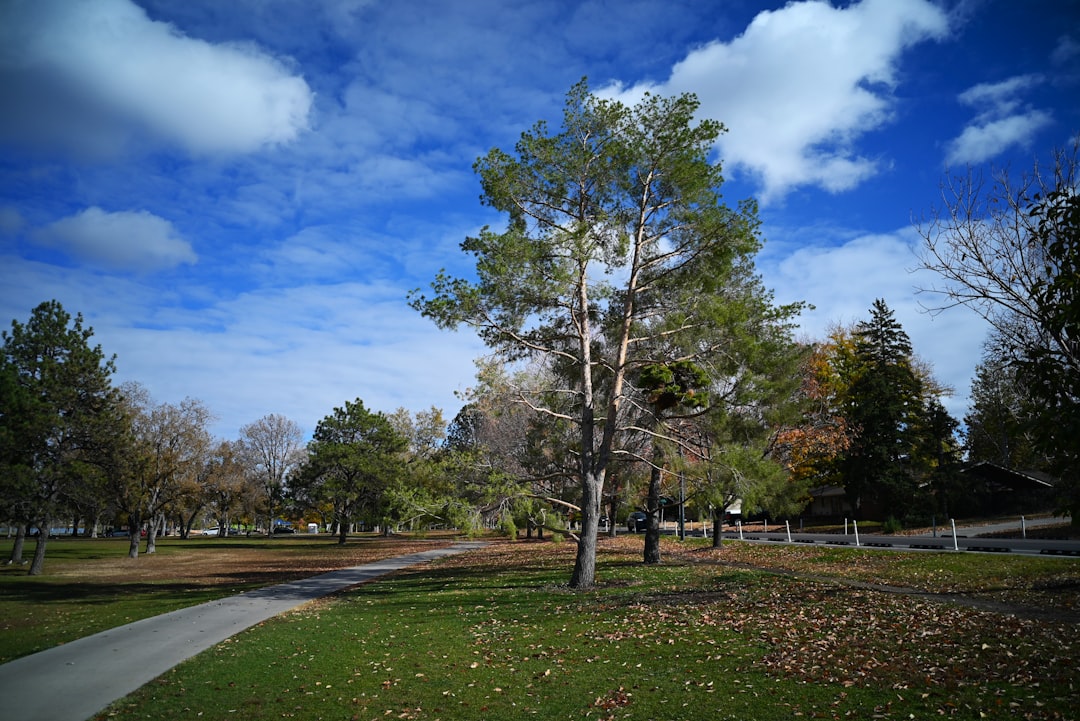 Photo Gage Park