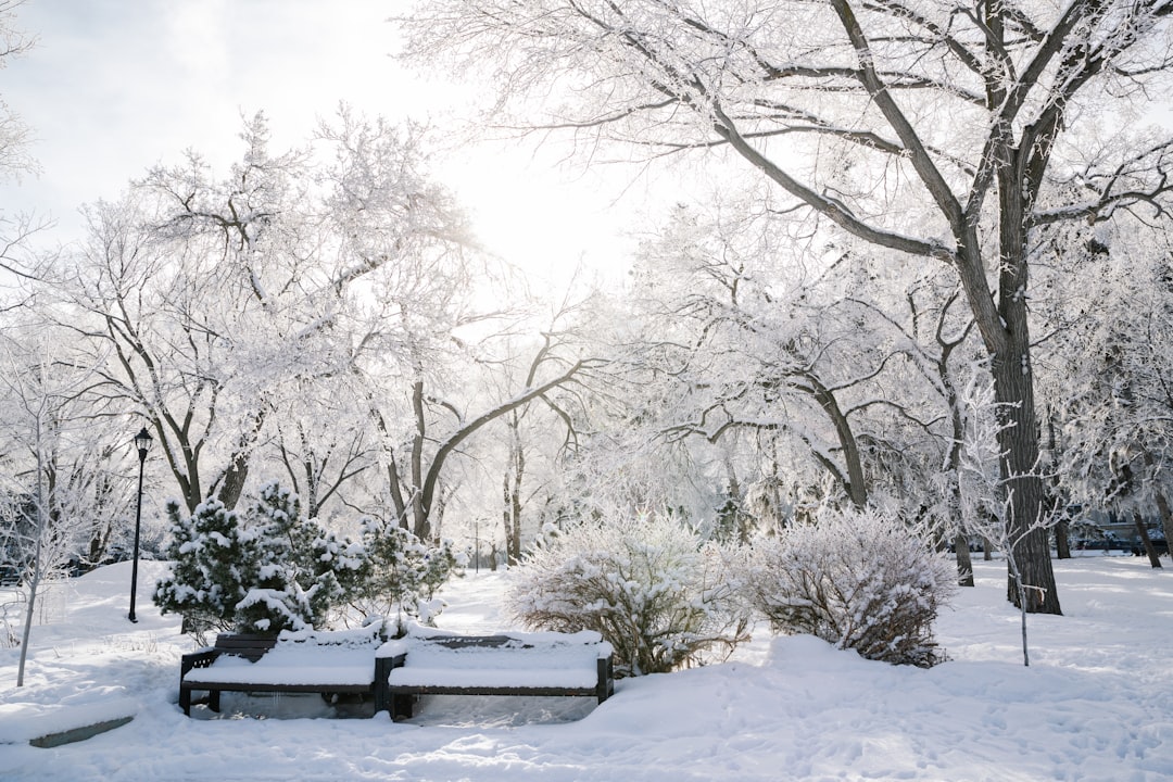 Photo Canadas Wonderland