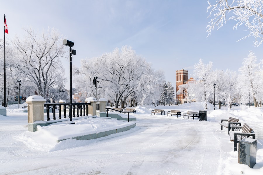 Photo Canadas Wonderland