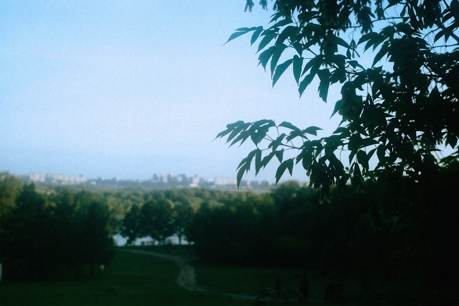 Photo Richmond Hill skyline