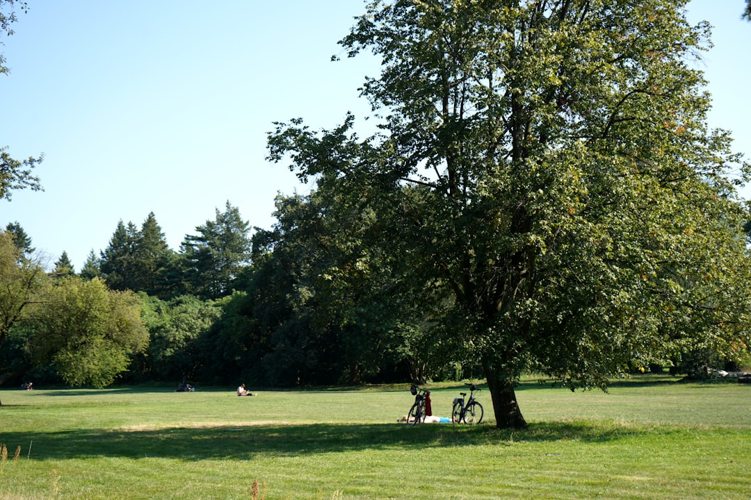 Photo Willowdale Park