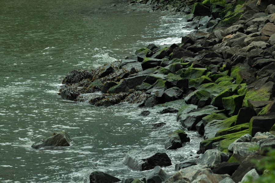 Photo Punting on River Cam
