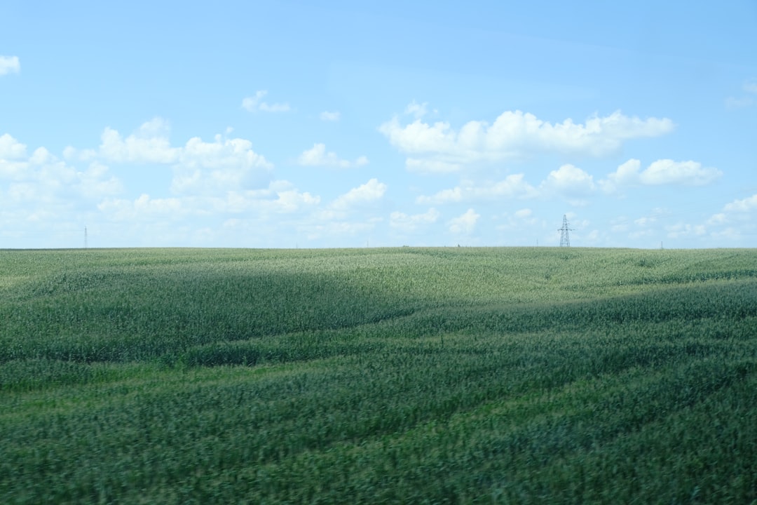 Photo Cornfields