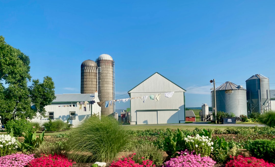 Photo Places to Visit in Illinois