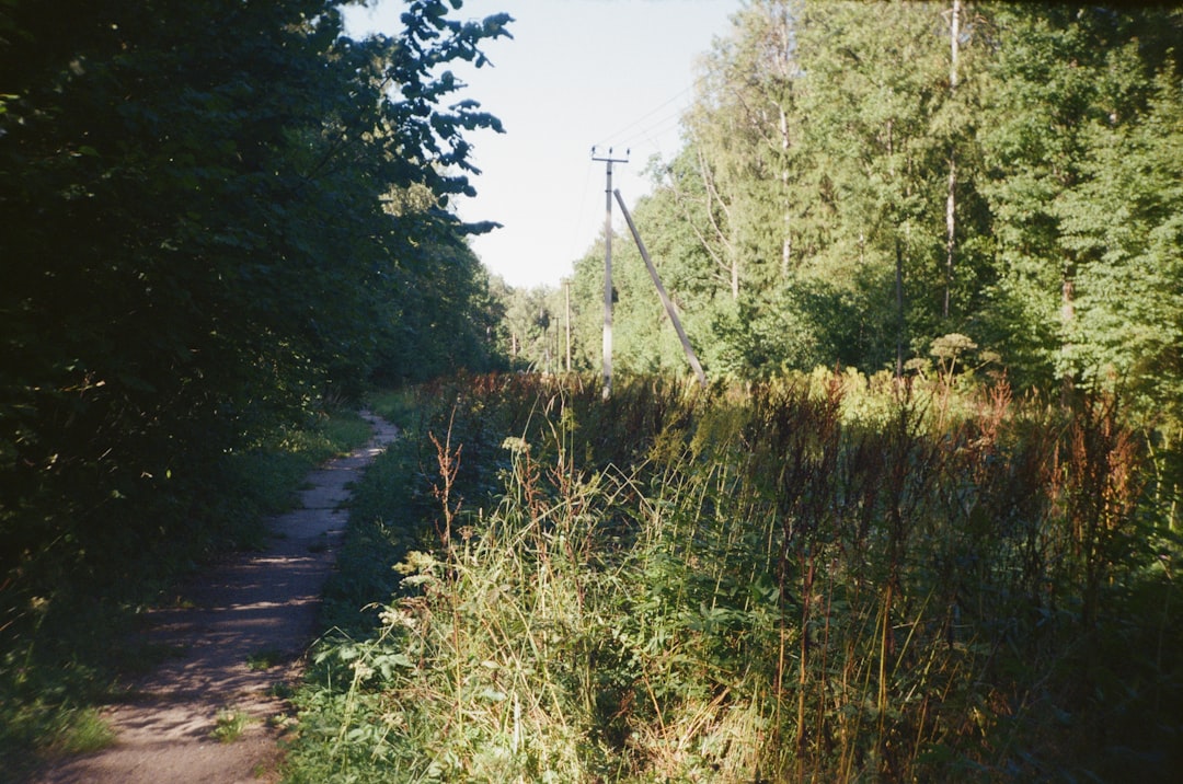 Photo North Cowichan