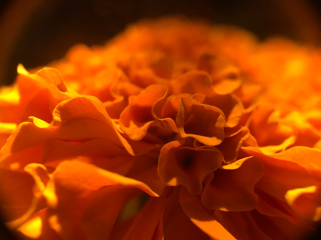 Image 104 Photo Bhayandar