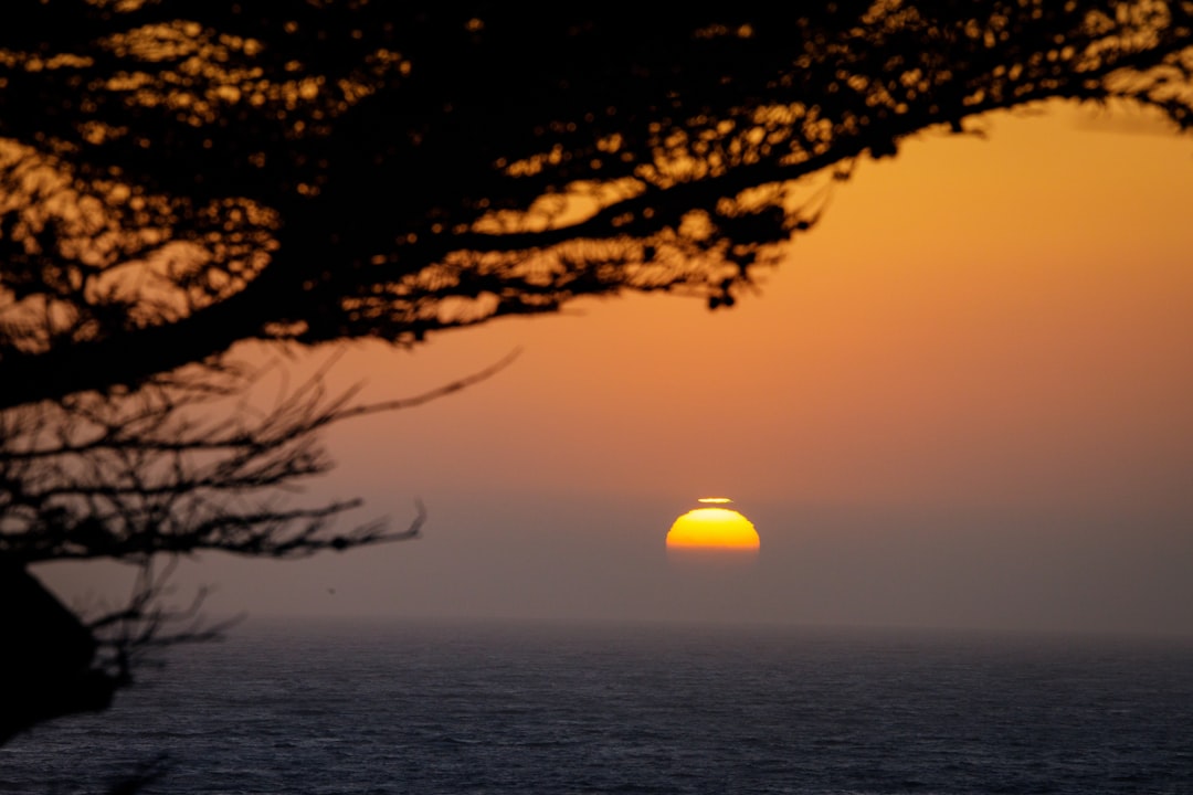 Image 173 Photo Central Coast