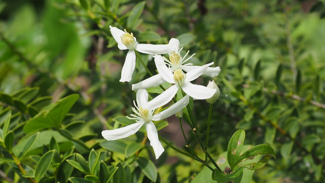 Image 302 Photo Bochum