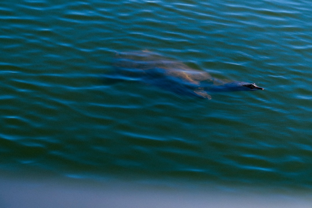 Photo Gainesville, FL