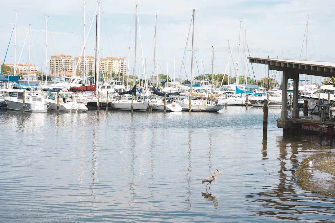 Photo St Petersburg, FL