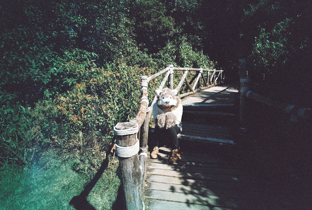 Photo Coral Springs, FL