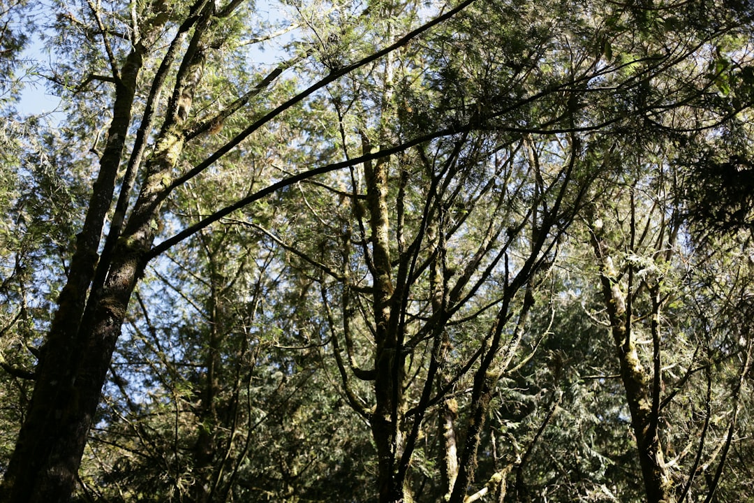 Photo Pembroke Pines, FL