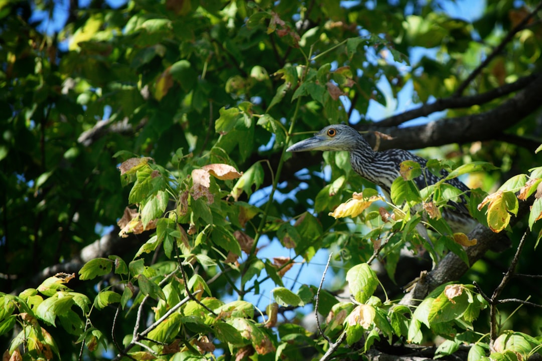 Photo Round Rock, TX