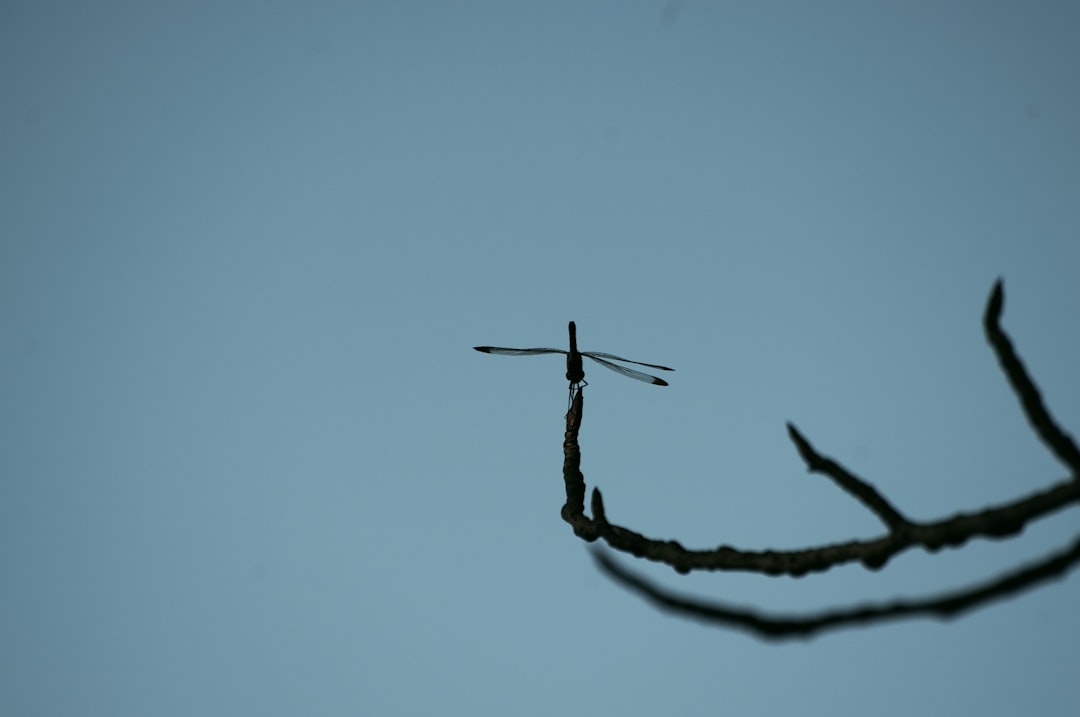 Photo Broken Arrow, OK