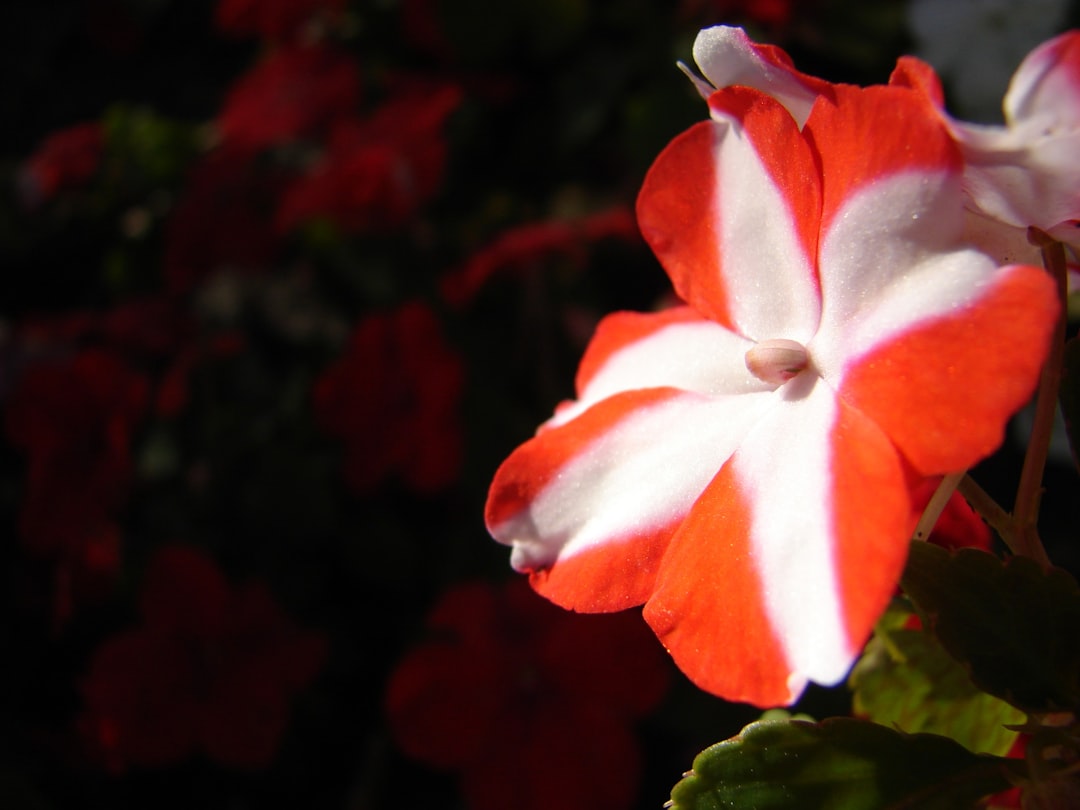 Photo Sioux City, IA