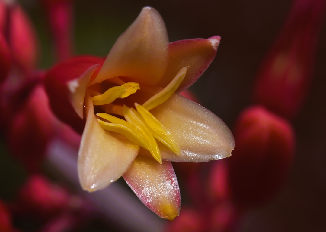 Photo Rio Rancho, NM