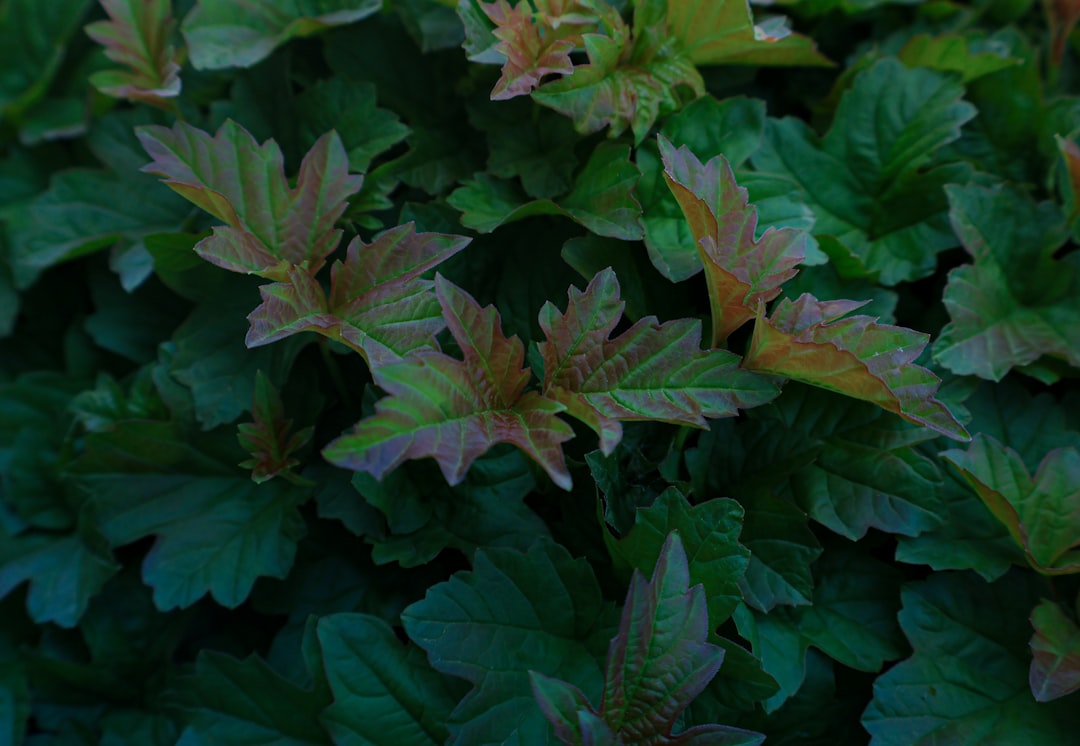 Photo Eagle Mountain, UT