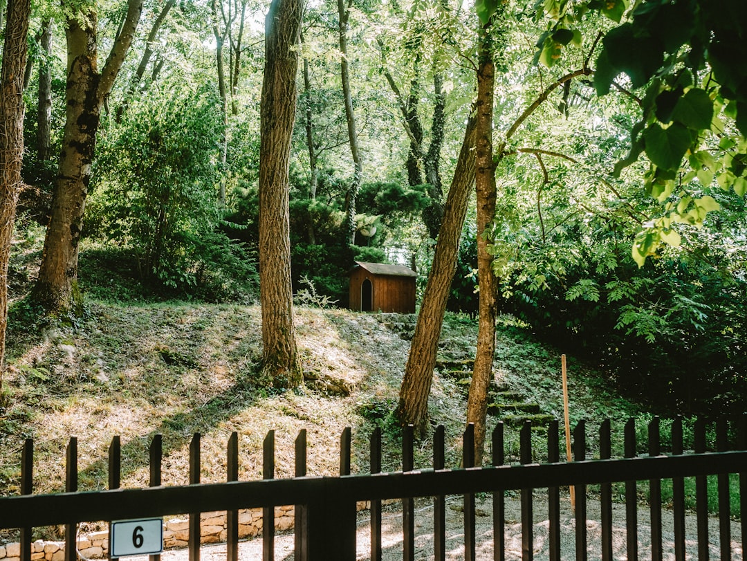 Photo Tinley Park attractions