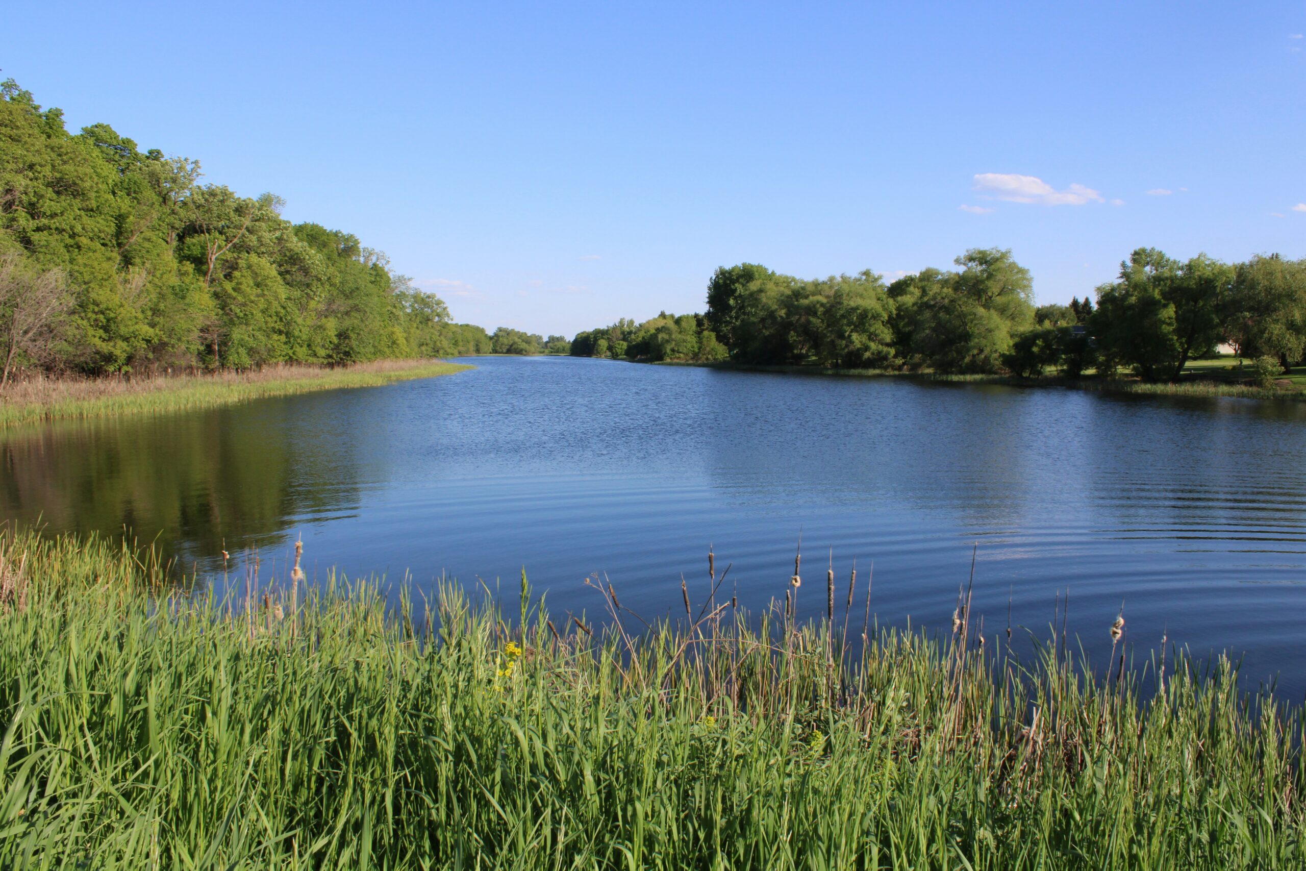 080220261770575661 Jpeg