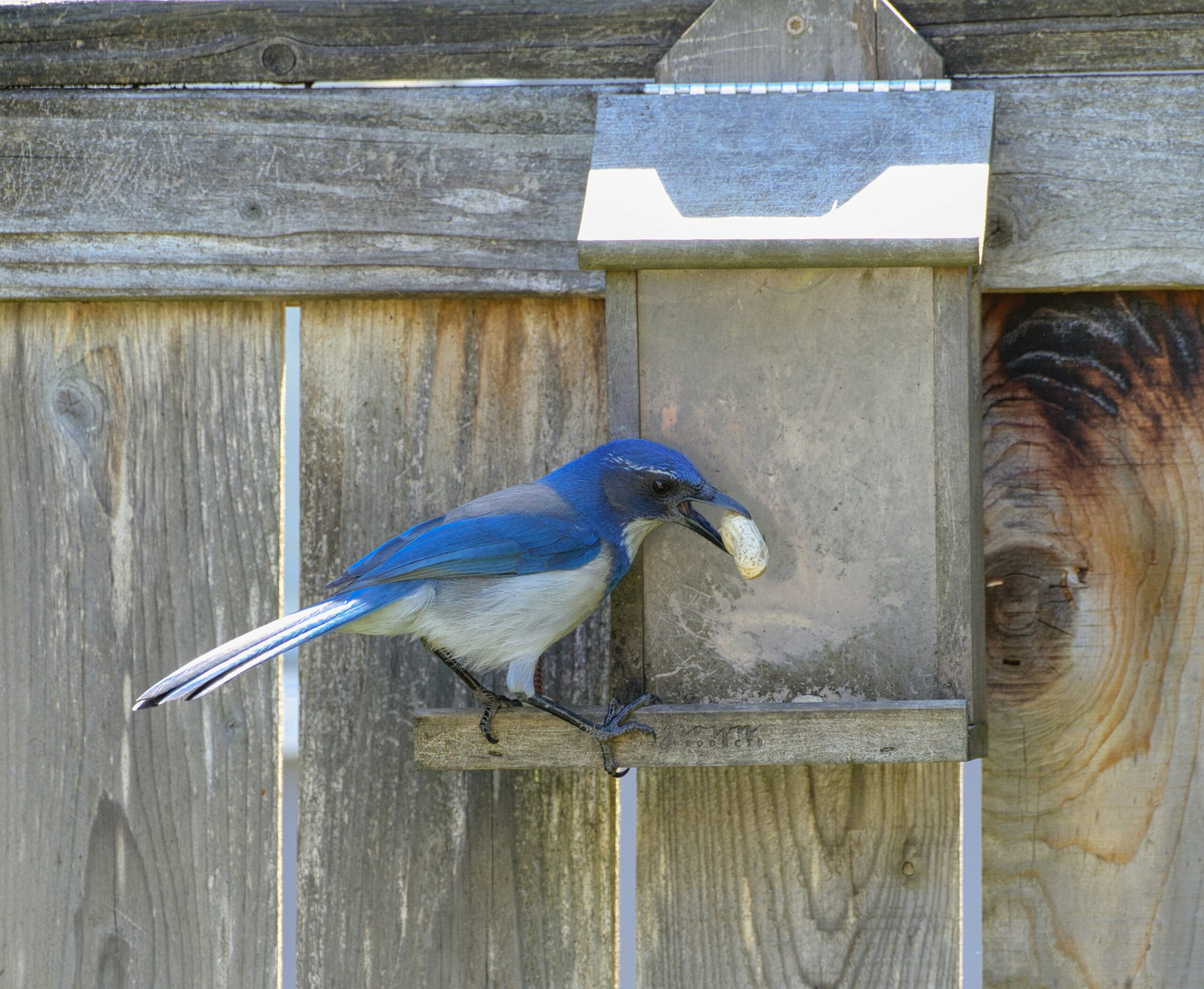 210220261771698871 Jpeg