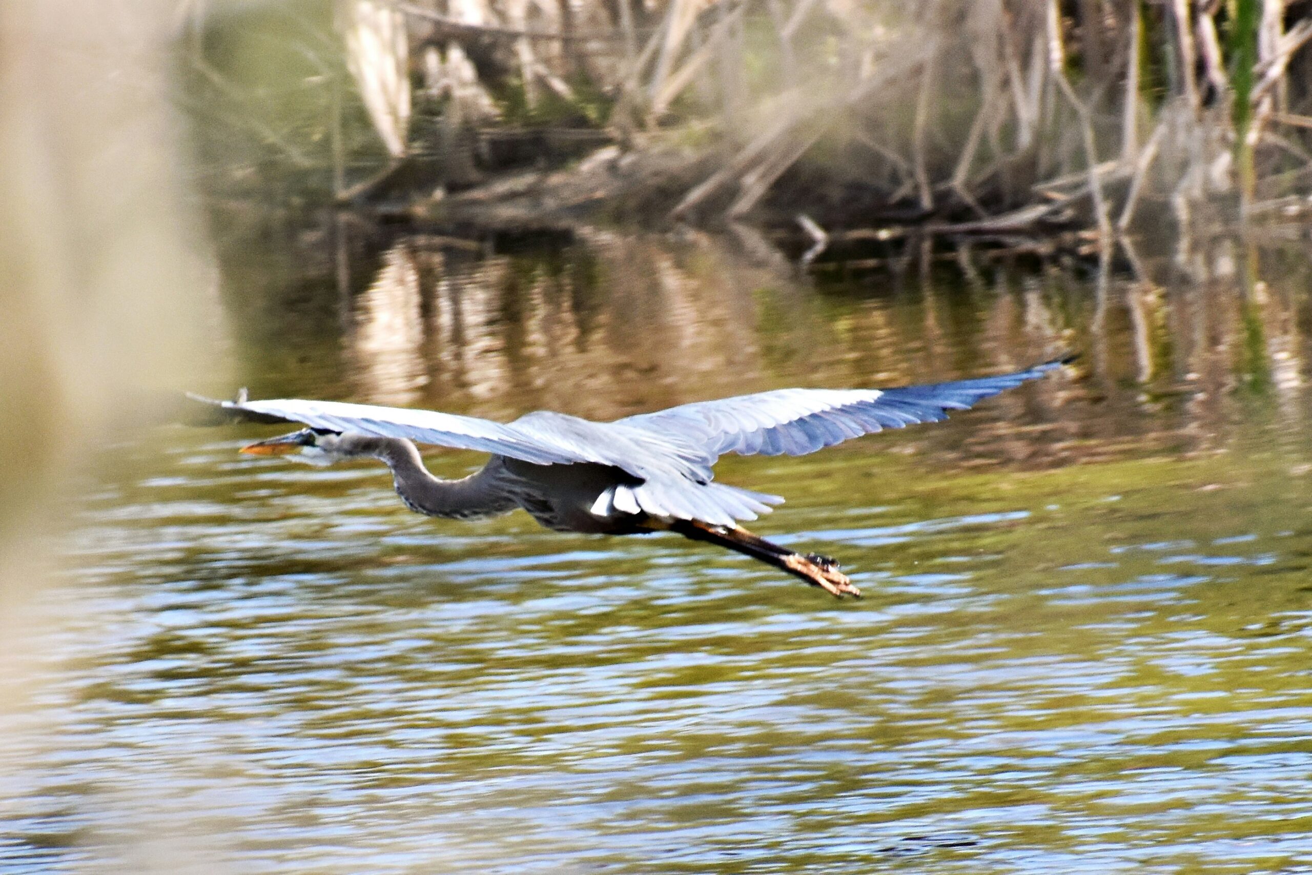 080320261772994868 Jpeg